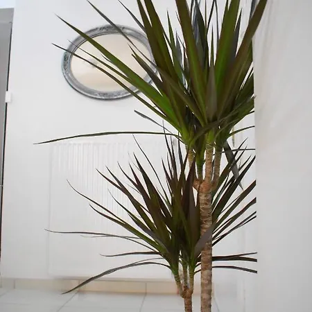 Lägenhet 4seasons Thebes