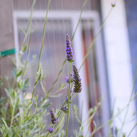 Lägenhet 4seasons Thebes