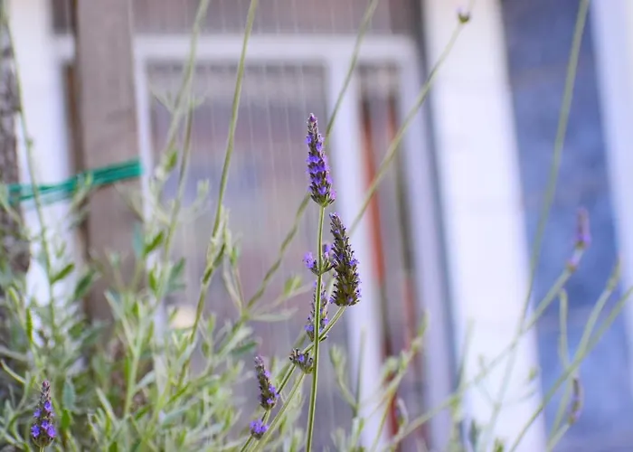 Apartamento 4seasons Thebes